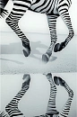 Картина Kare Design Savanne Zebra