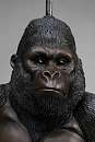 Держатель для туалетной бумаги Kare design Sitting Monkey Gorilla