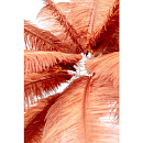 Лампа настольная Kare Design Feather Palm Rusty Red