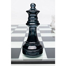 Шахматы Kare Design Chess Transparent